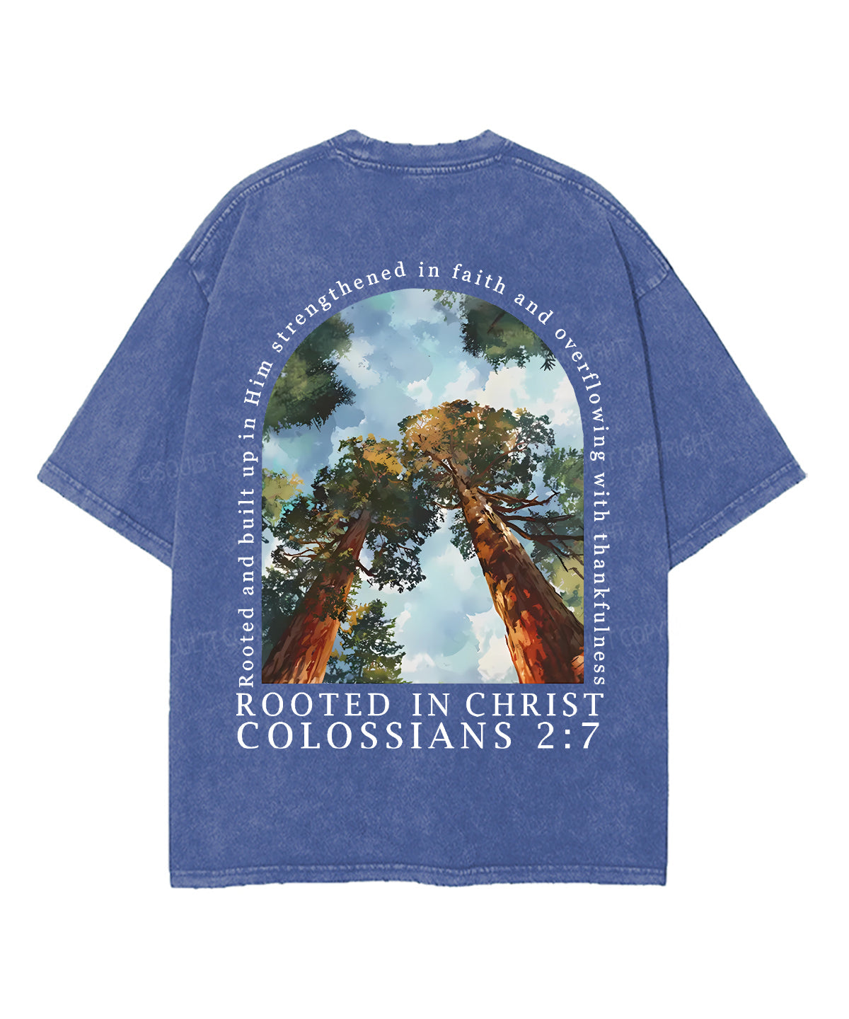 Rooted In Christ Double Sided Unisex Washed Christian T-shirt