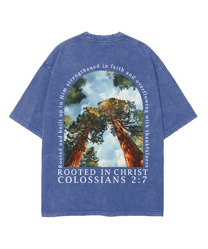 Rooted In Christ Double Sided Unisex Washed Christian T-shirt