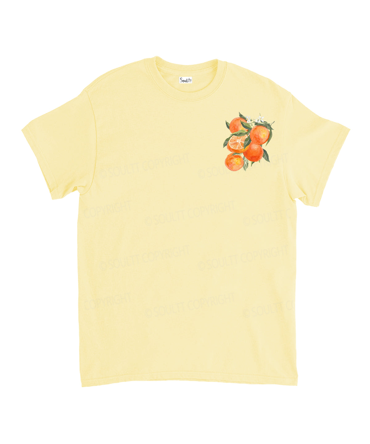 Fruit Of The Spirit Double Sided Unisex Cotton Christian T-Shirt