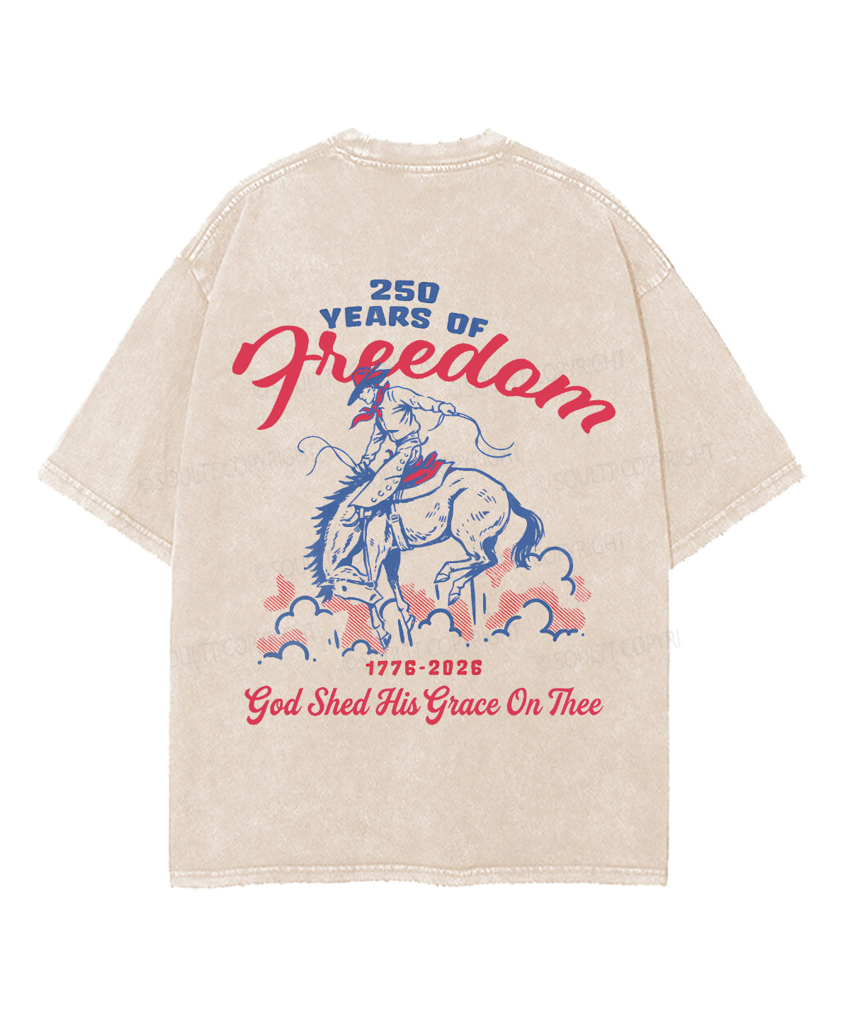 250 Years America Anniversary Double Sided Unisex Washed Christian T-shirt