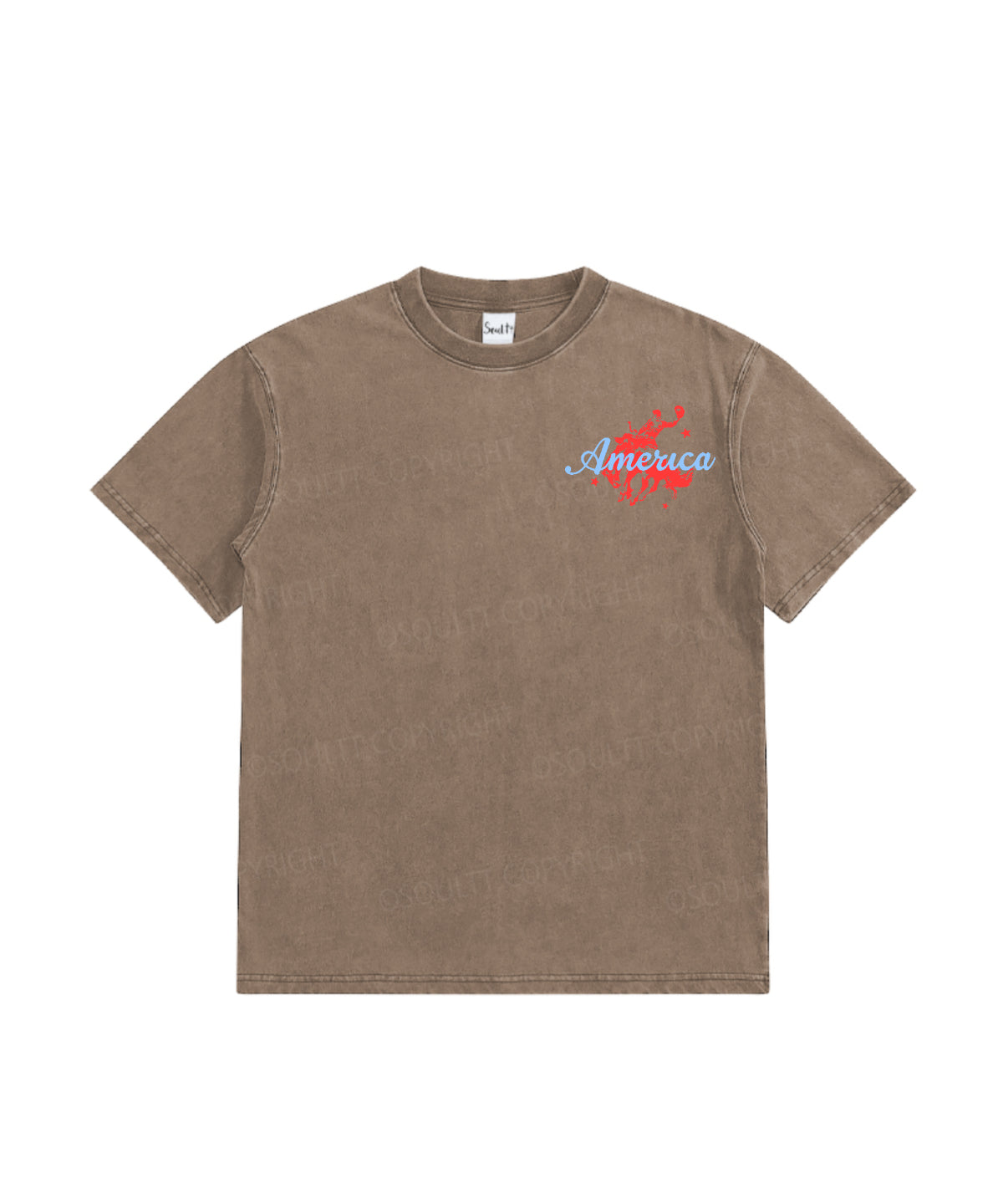 Kids 250 Years America Anniversary Double Sided Washed Christian T-shirt