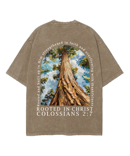 Rooted In Christ Double Sided Unisex Washed Christian T-shirt