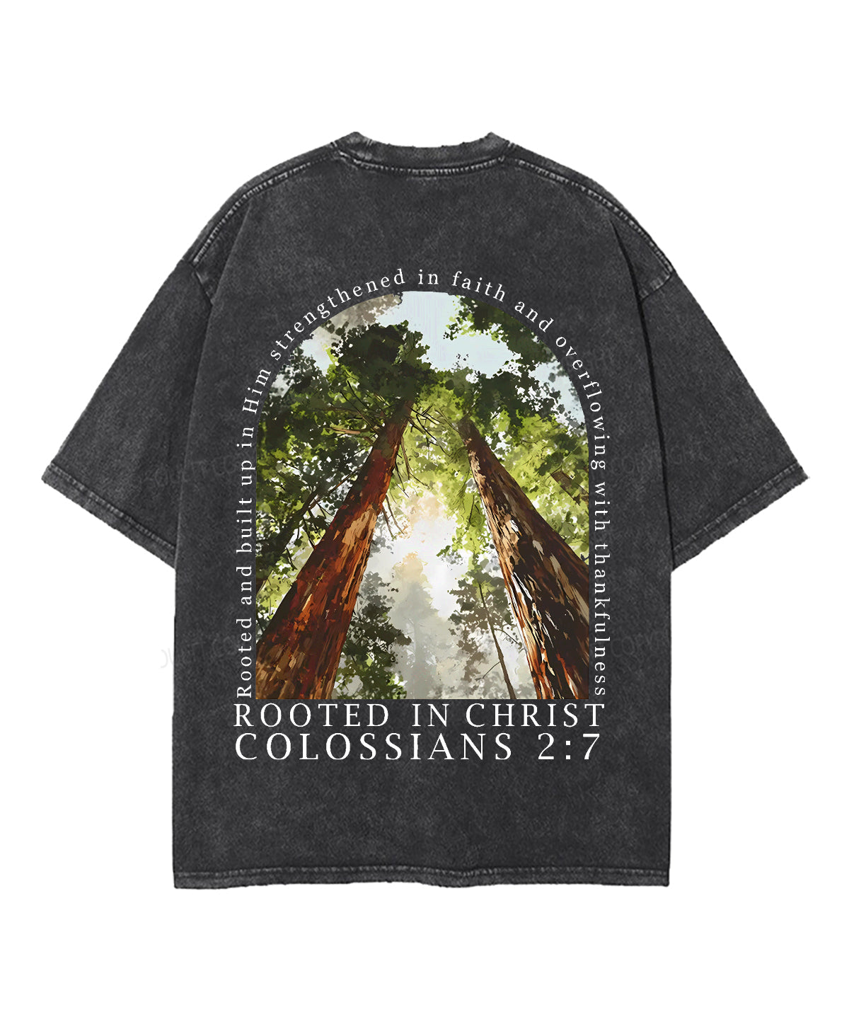 Rooted In Christ Double Sided Unisex Washed Christian T-shirt