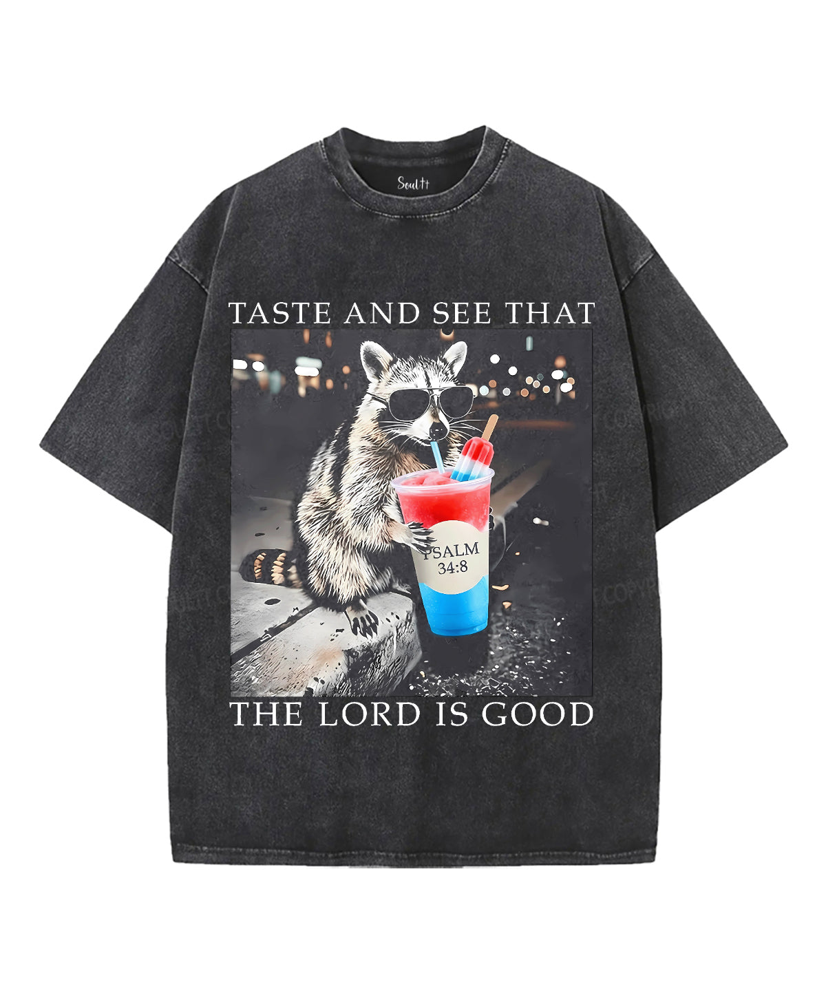 Taste And See That The Lord Is Good Unisex Washed Christian T-shirt