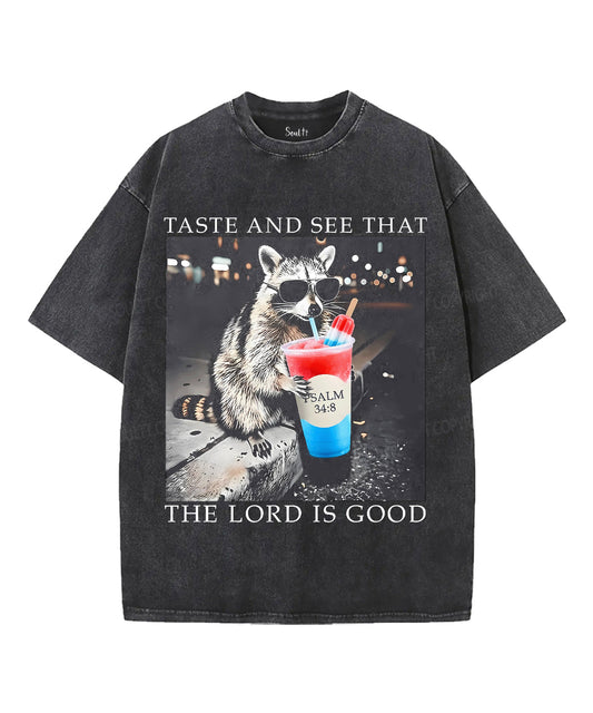 Taste And See That The Lord Is Good Unisex Washed Christian T-shirt