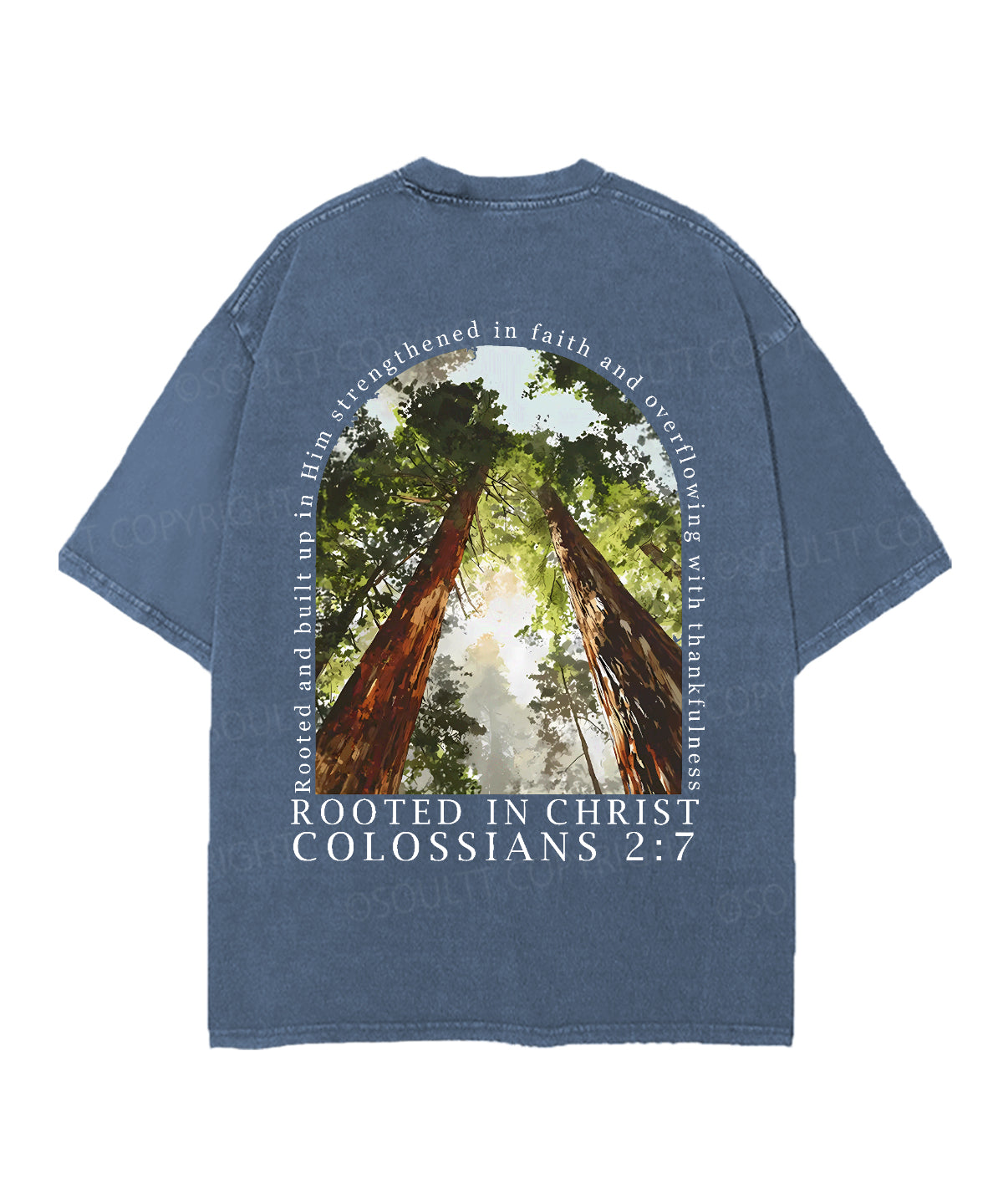 Rooted In Christ Double Sided Unisex Christian Washed T-Shirt & Shorts