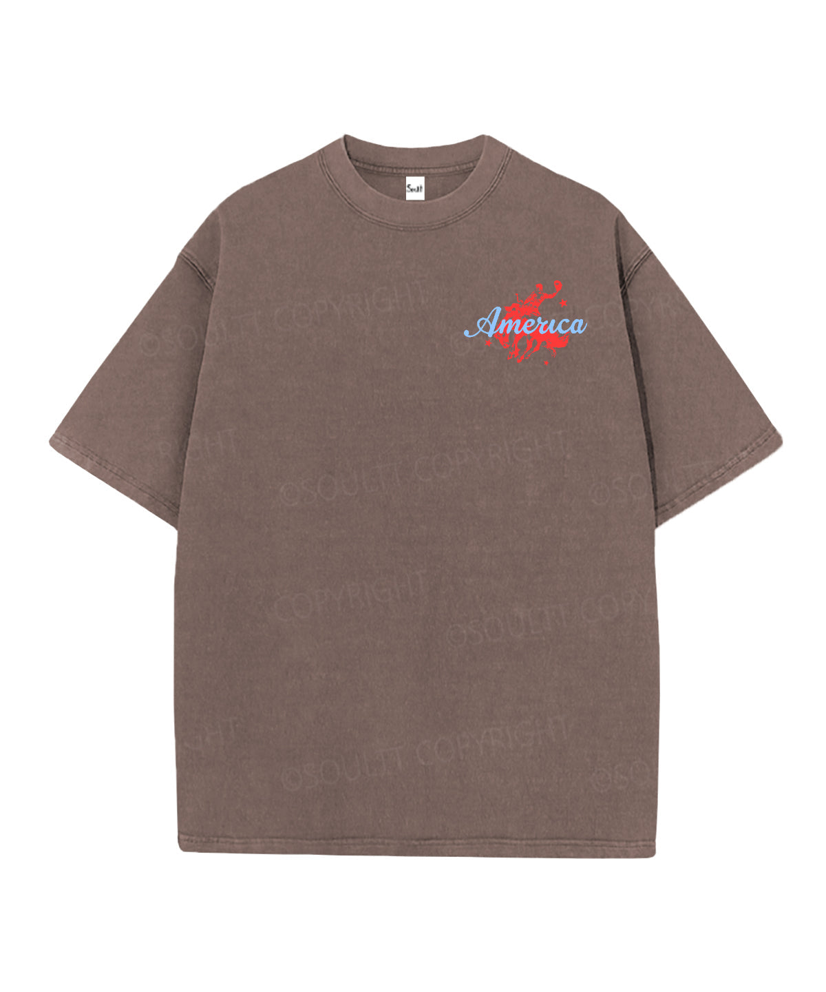 250 Years America Anniversary Double Sided Unisex Christian Washed T-Shirt & Shorts