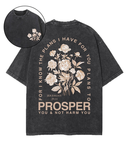 The Plans I Hane For You Double Sided Unisex Washed Christian T-shirt