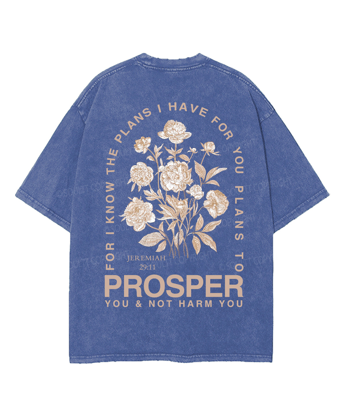 The Plans I Hane For You Double Sided Unisex Washed Christian T-shirt