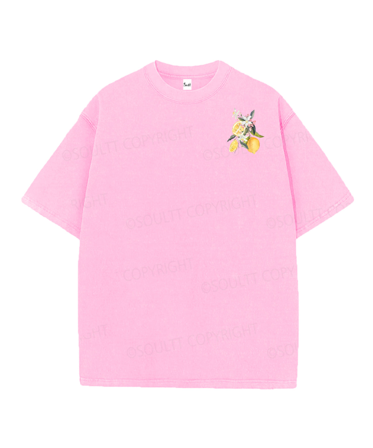 Fruit Of The Spirit Double Sided Unisex Christian Washed T-Shirt & Shorts