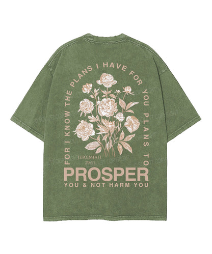 The Plans I Hane For You Double Sided Unisex Washed Christian T-shirt